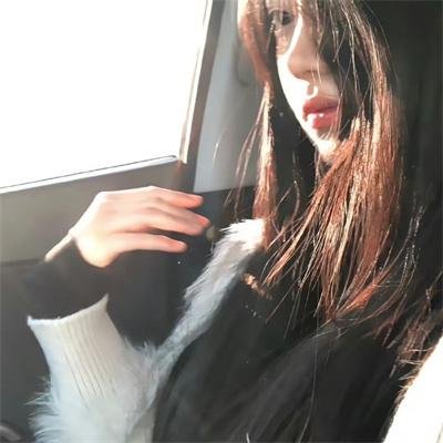 狐獴家族